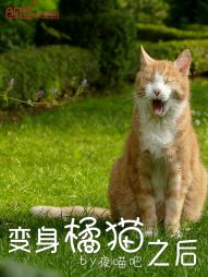 变身橘猫之后