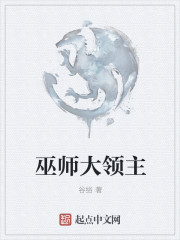 巫师大领主